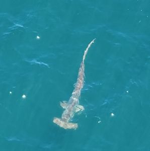 Meet your Posher, Erick